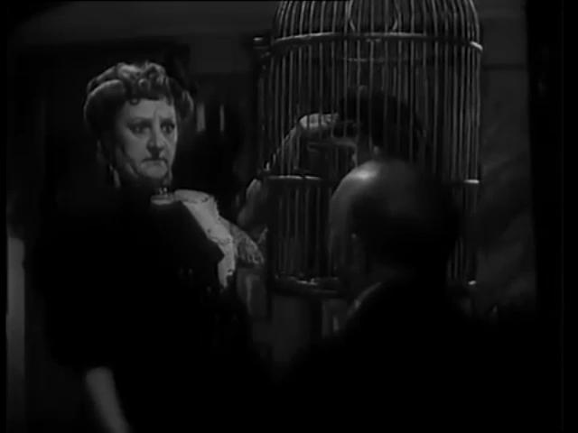 Трек для МГ 13.  Дуэт Каролины и Пеликана