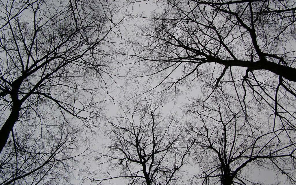 Не шевелись...