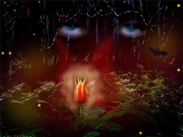 Квітка папороті