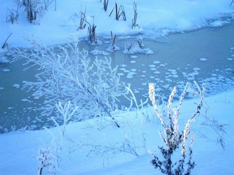 Люблю зиму!