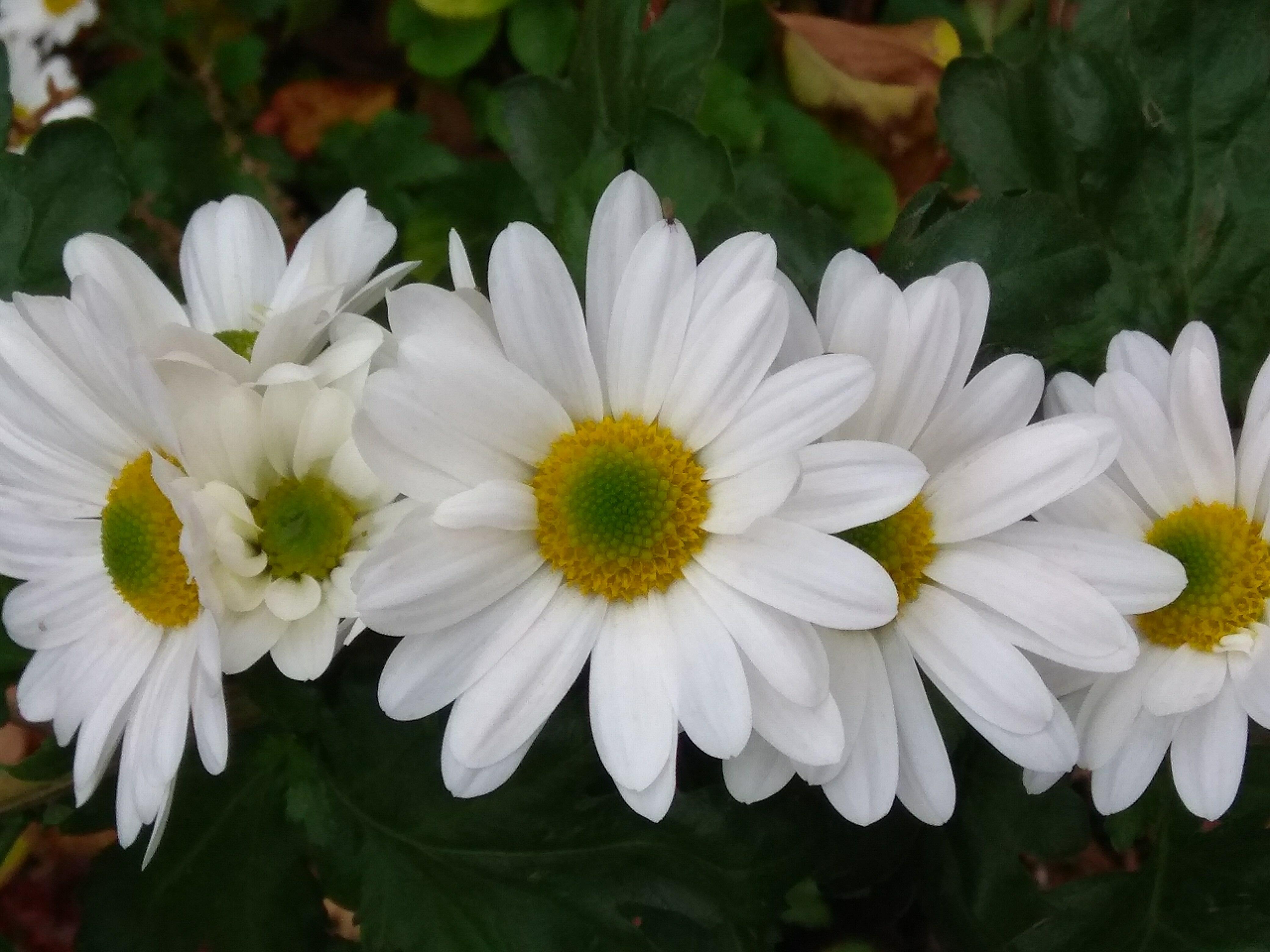 О практической пользе