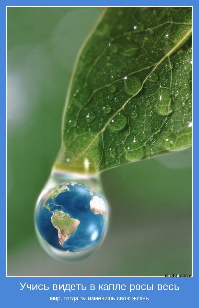 Трынь трынь трава