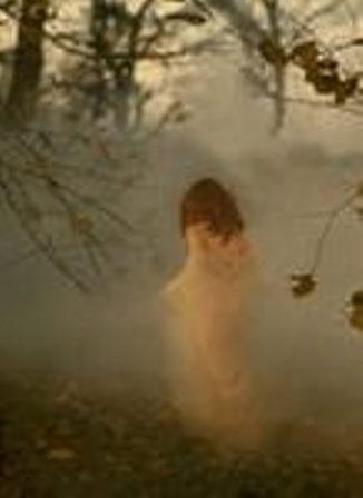 Загрустили над полем туманы