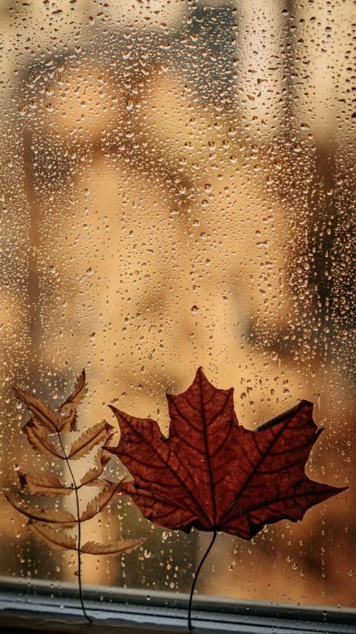 Осенняя хандрёшь