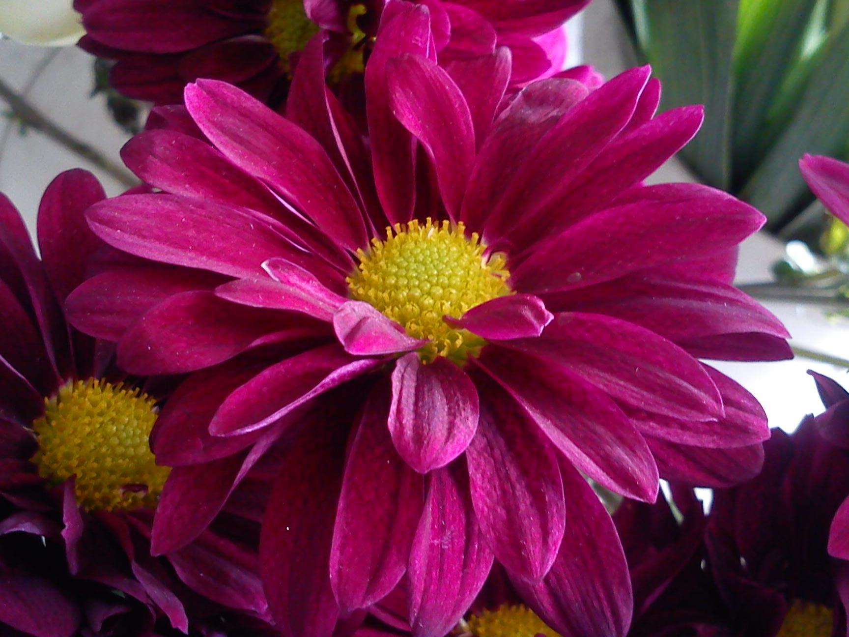 Притчи, глава 21 - перевод с иврита