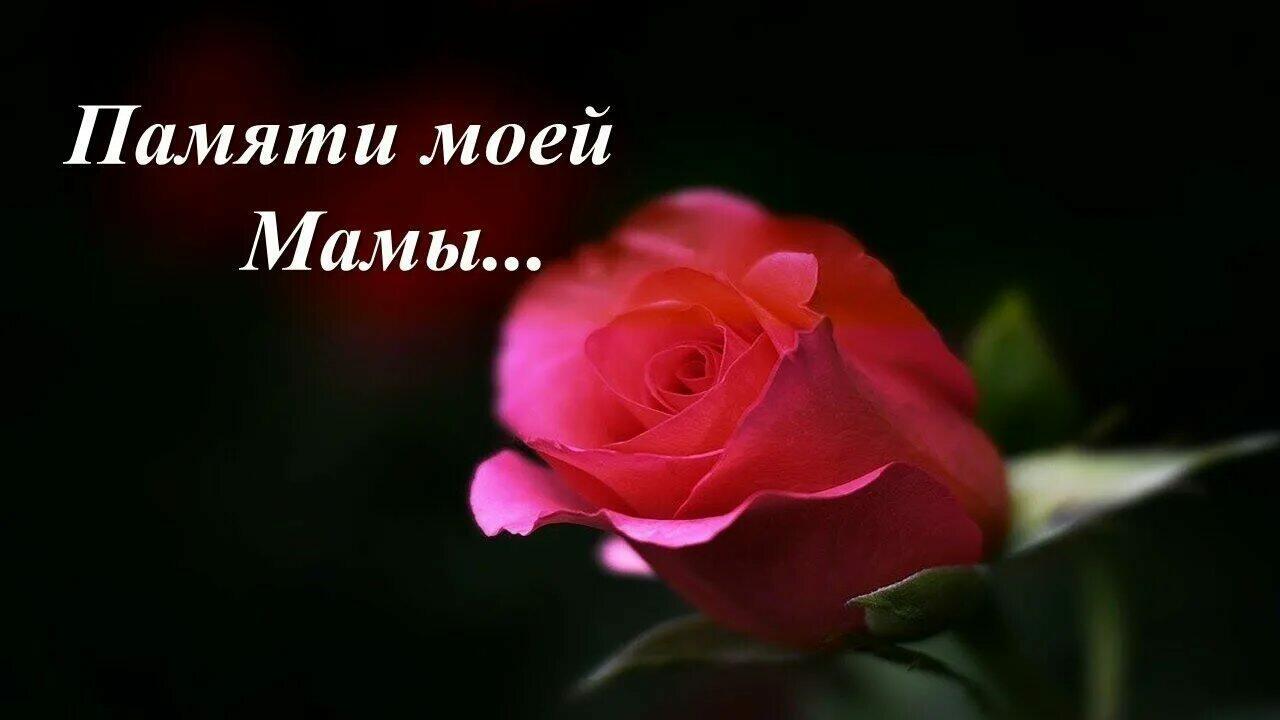 Тишина моя... ( светлой памяти мамы посвящается )