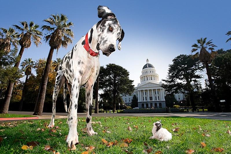 Мелкая(  совместно  с 77599244824)