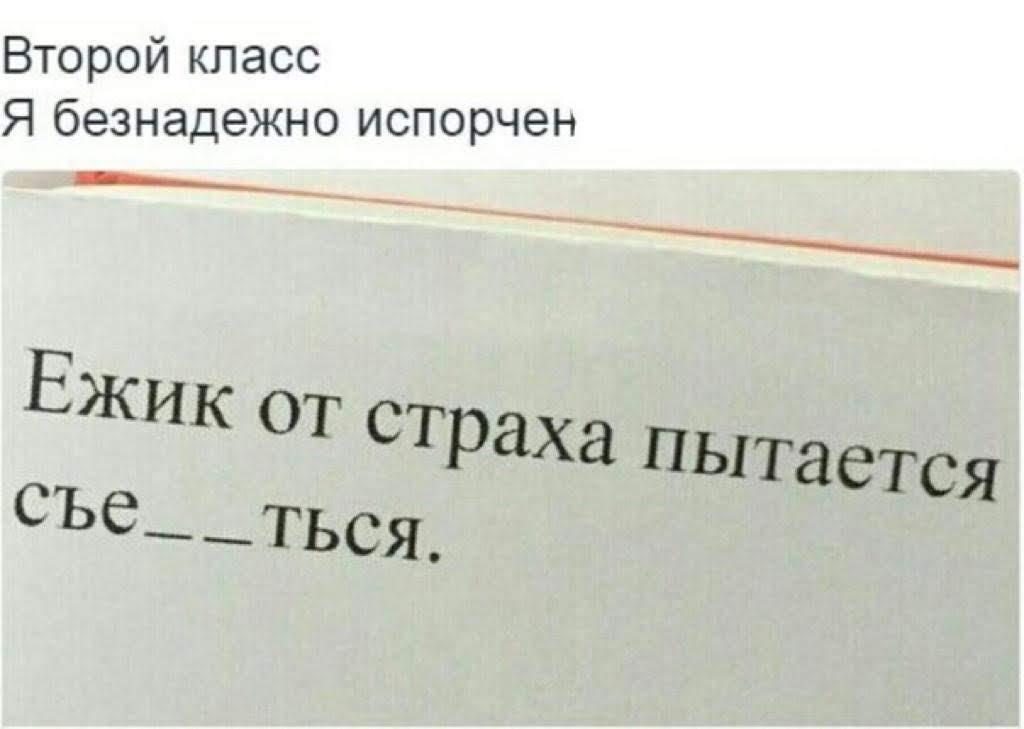 Ёжик в страхе