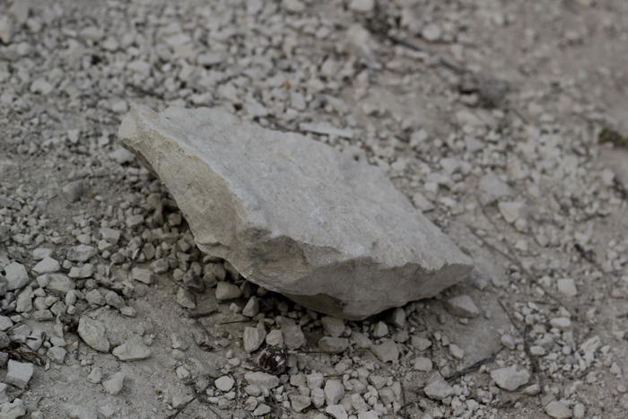 "Я - судьбою заброшенный камень" (04.09.2014)