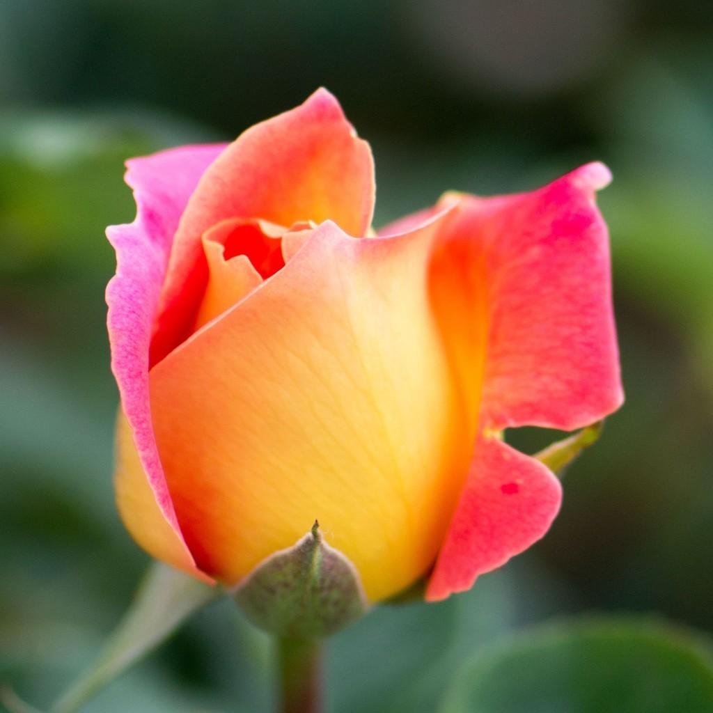 Ведь никто не сказал что нельзя...