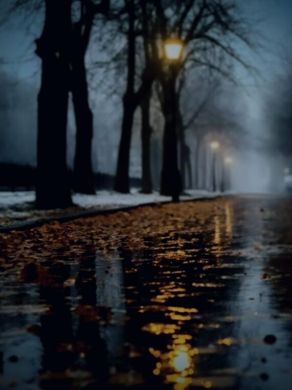 Среди ноябрьских теней