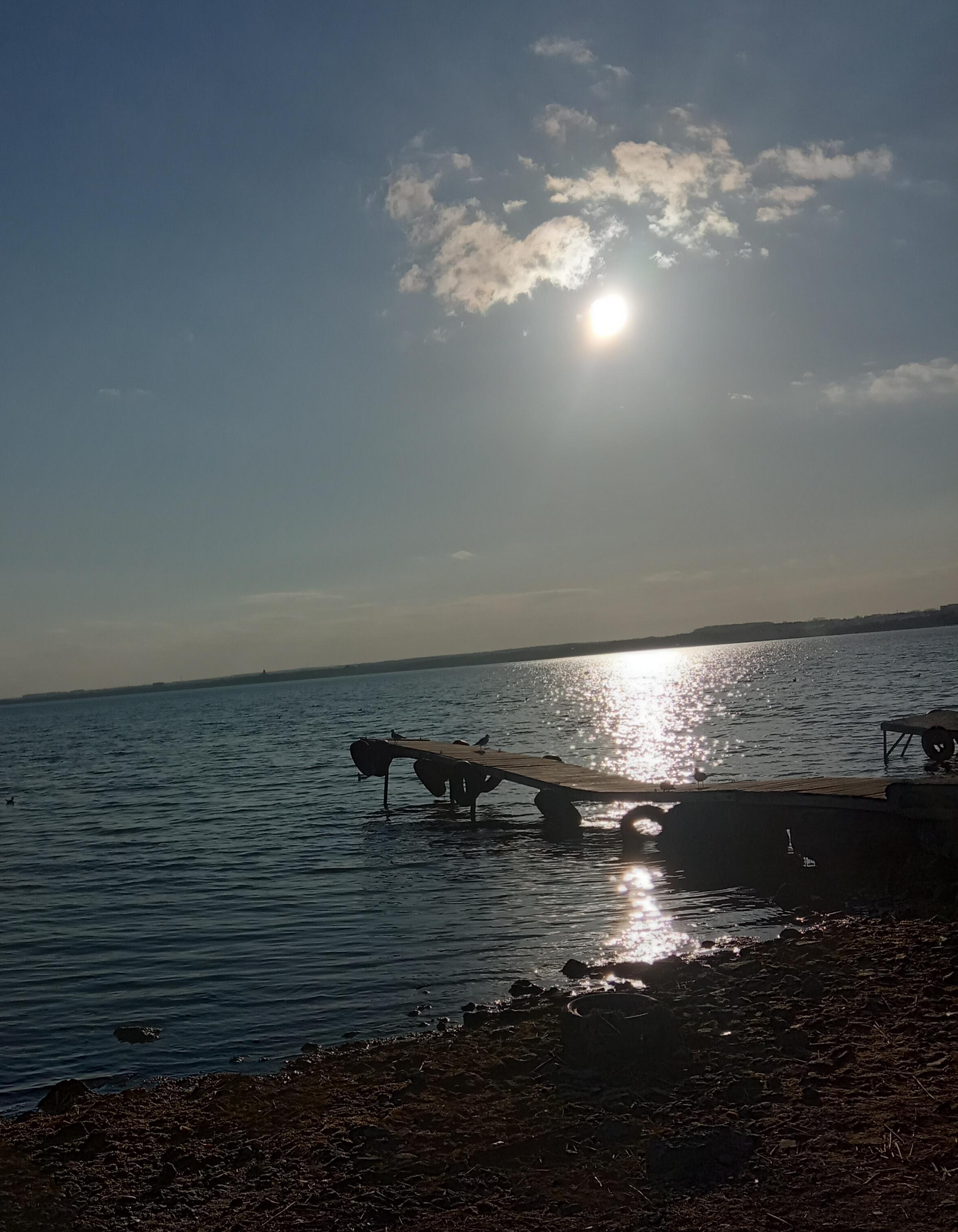 Кони топчутся на поле