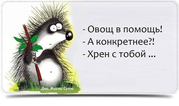 Хрен с тобой!