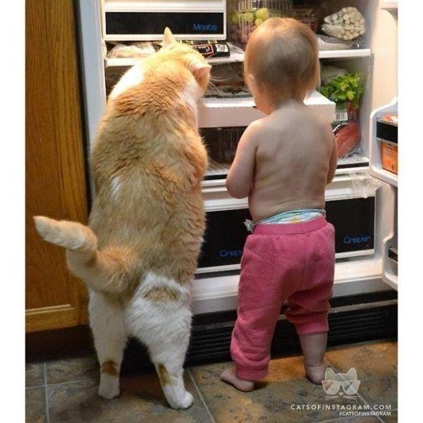 ВОТ - ЭТО ДА !!!