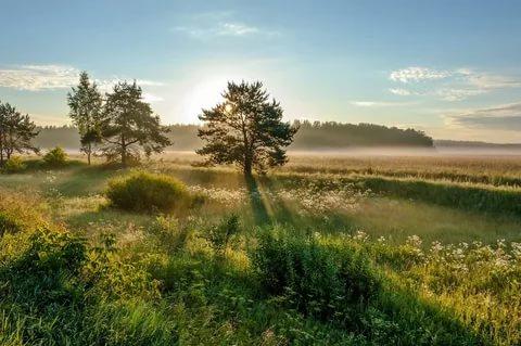 Лёгким облаком июнь тает над землёй