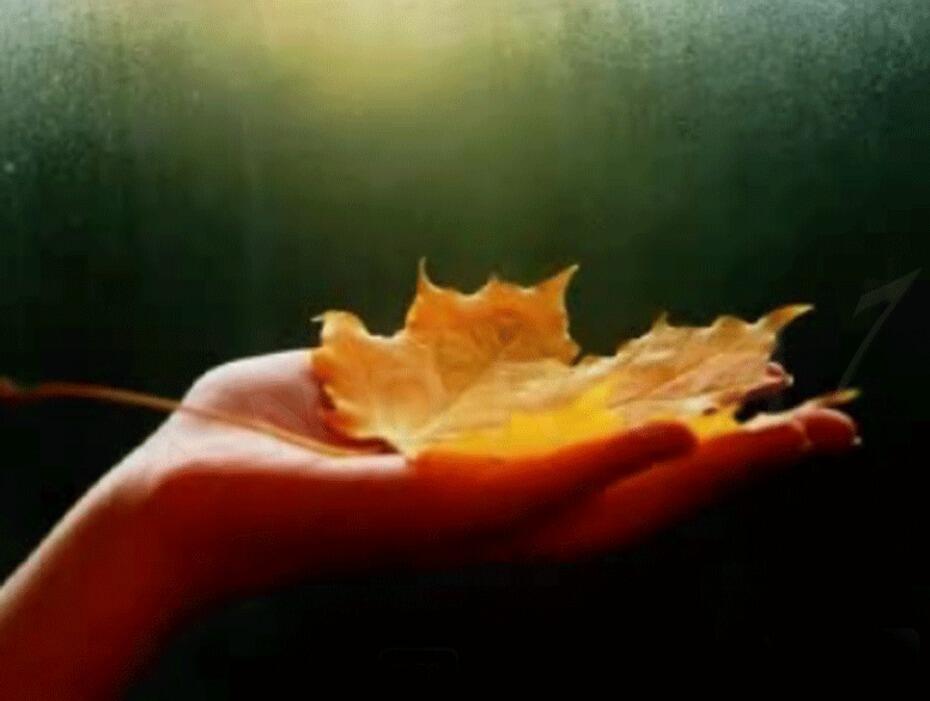 Листок на ладонь