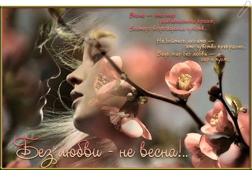 Без любви весны не будет