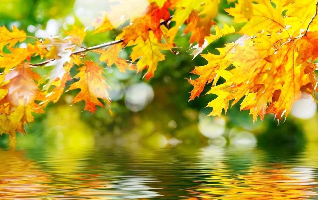 Лето песней живет в голове