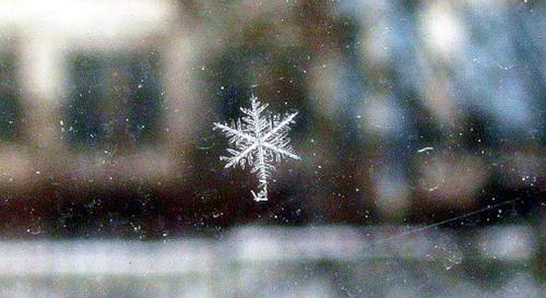 ВСЁ  ОЧЕНЬ  ПРОСТО ... читает автор .