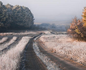 Первый посланец ...