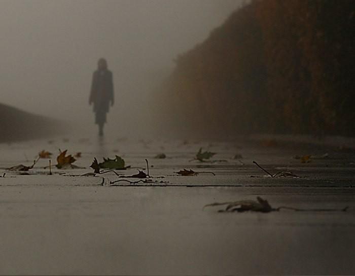 Мне бы солнца златой флюгерок...