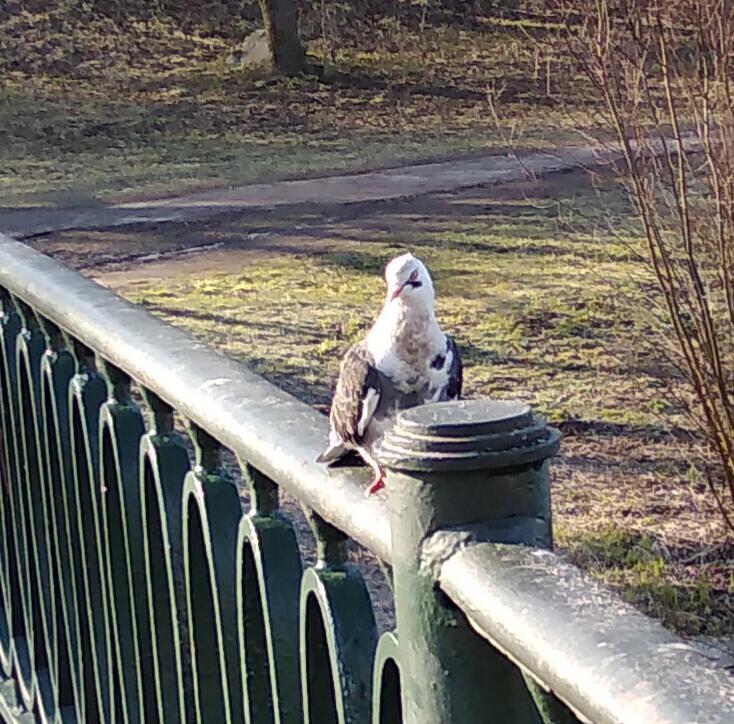 Плохое утро 