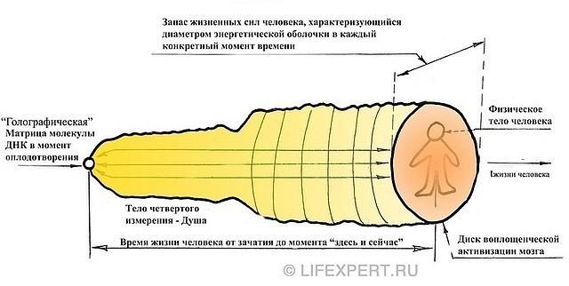 Реинкарнации