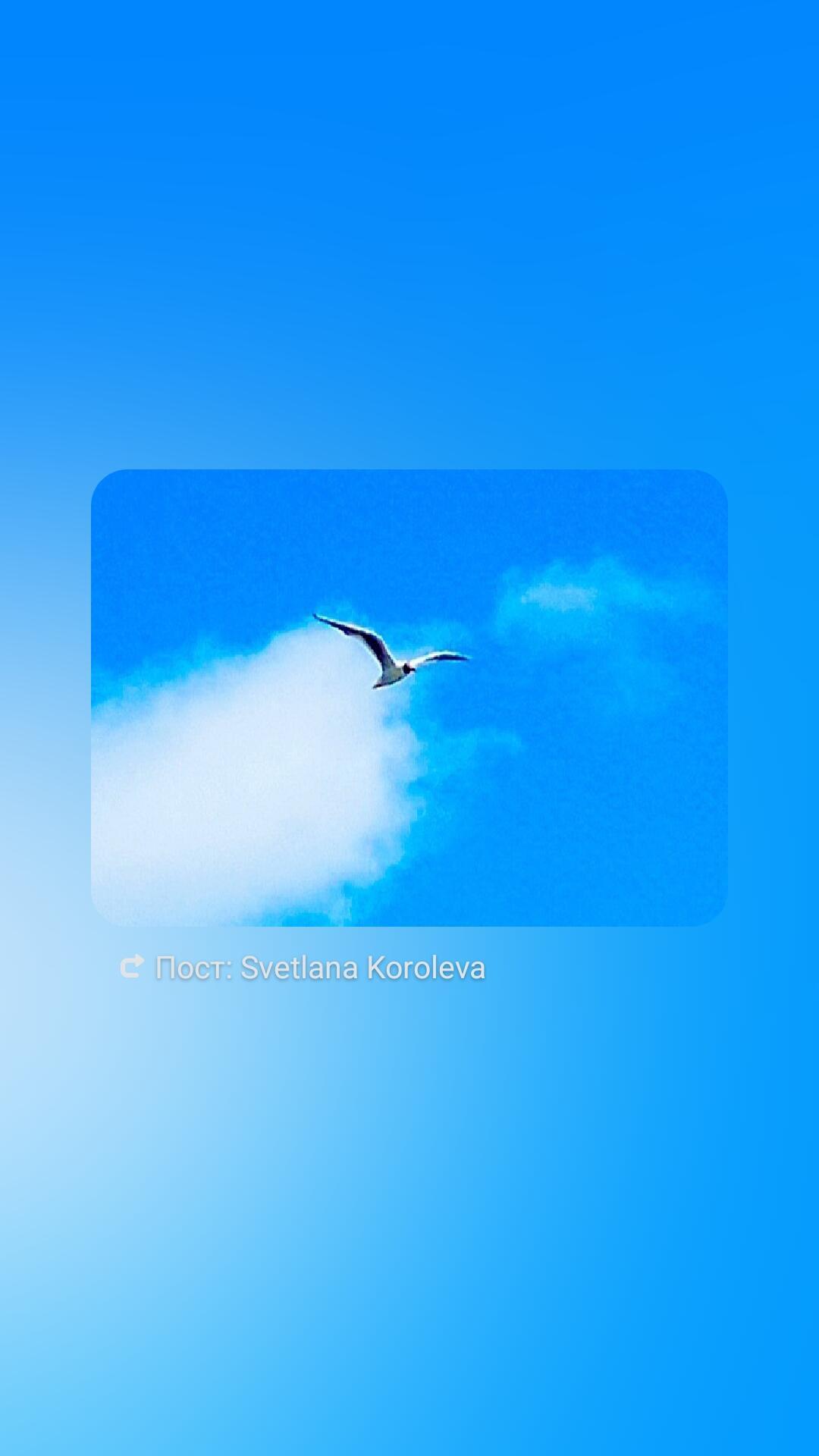 ПЛАНЕТА Ангелов 