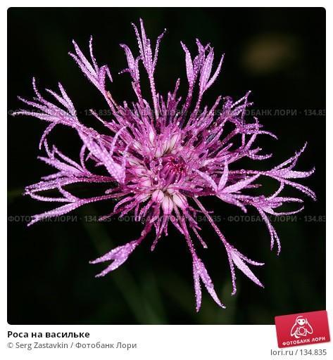 В СКАЗКУ МИР ПРЕВРАЩАЛСЯ МОЙ