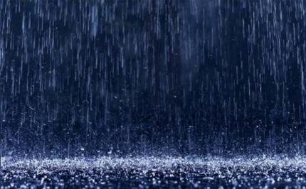 Слова написала