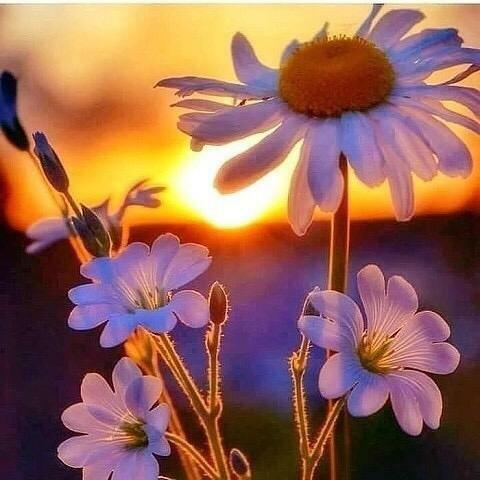 Без повода от 26. 11. 2014