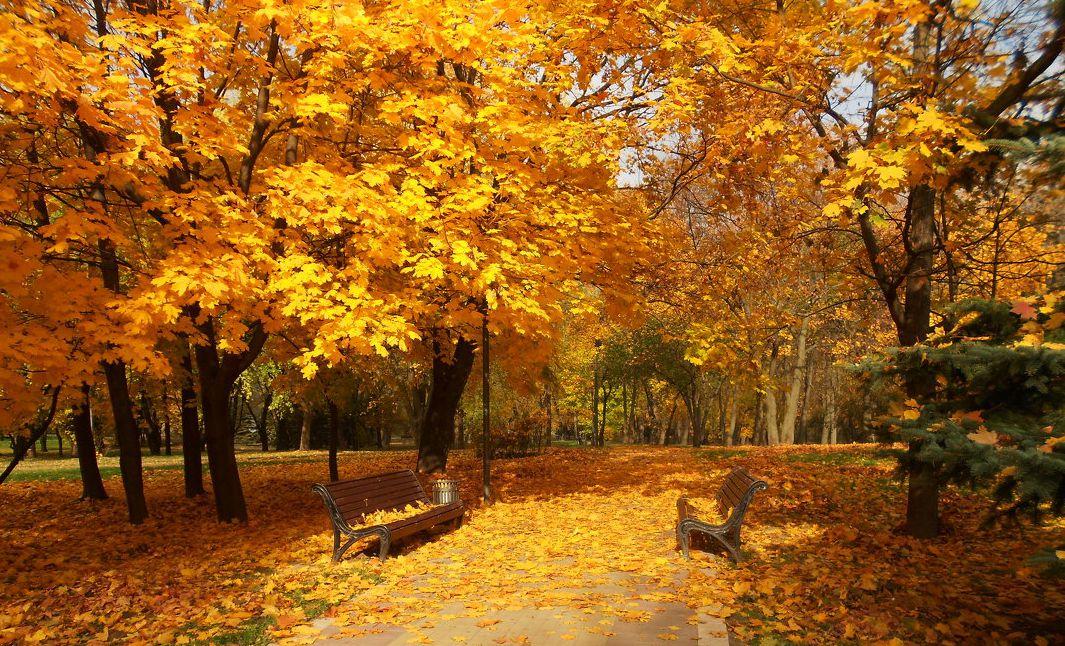 Зараза-осень