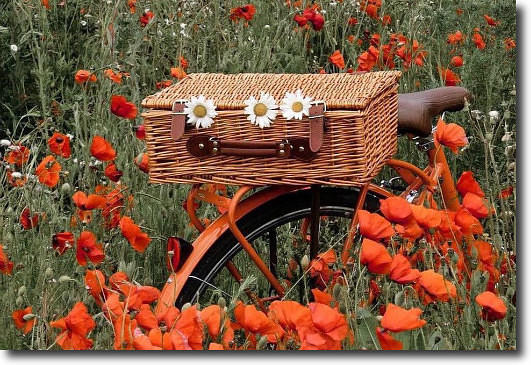 В обьятиях растаяв однозначно