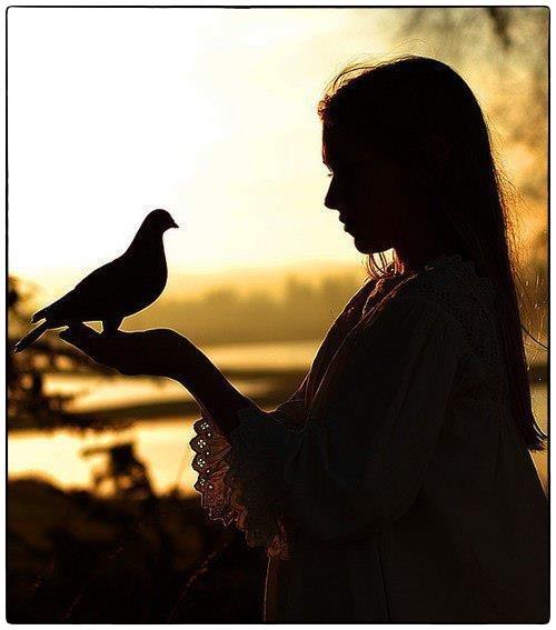 На пути к недостижимой цели