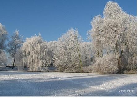 ---Этакое видение---