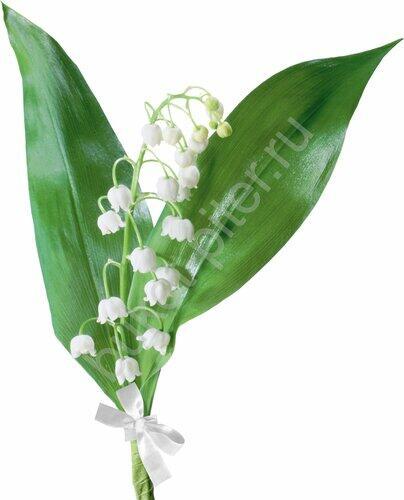 Солнышко снега глотает