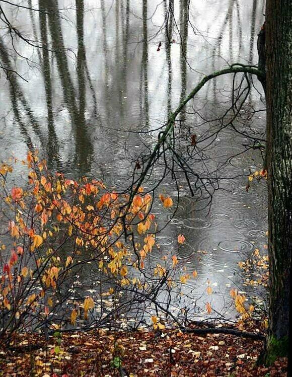 Я усталым таким еще не был… ( С. Есенин )