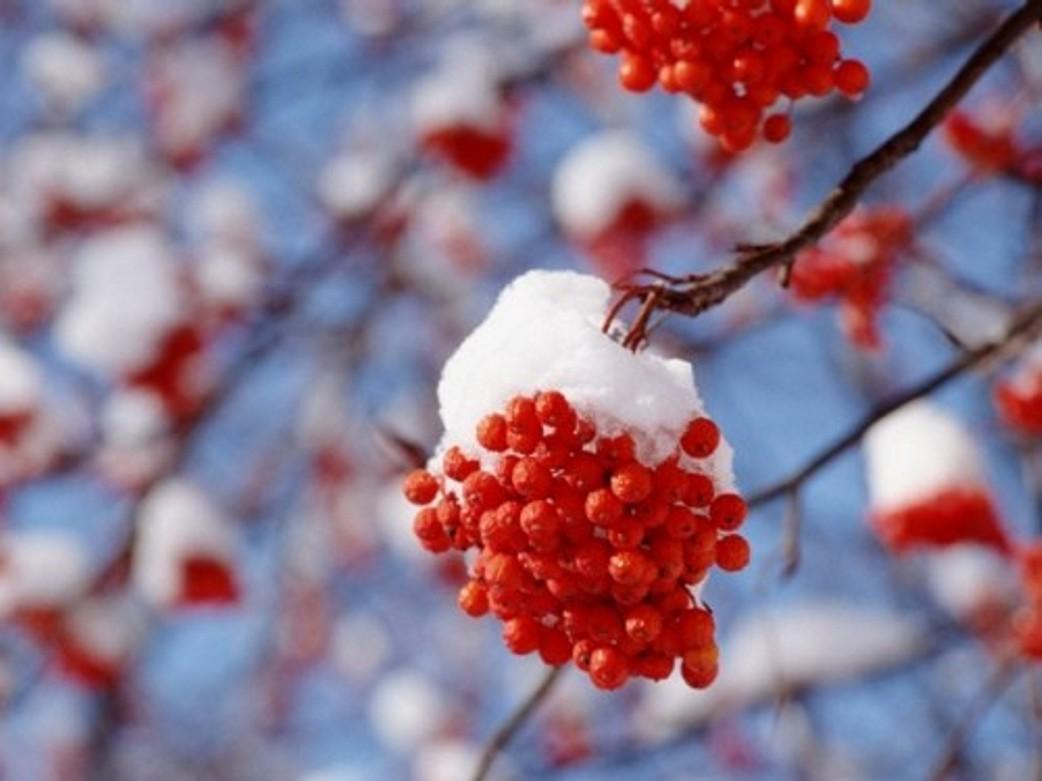 Осенний романс...