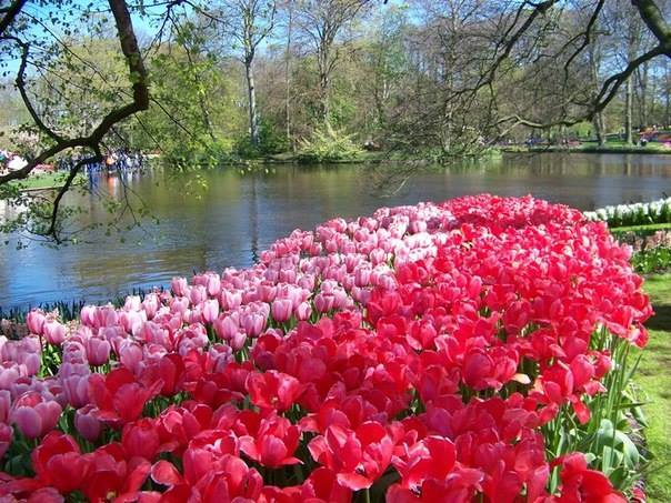 Мальчишка май