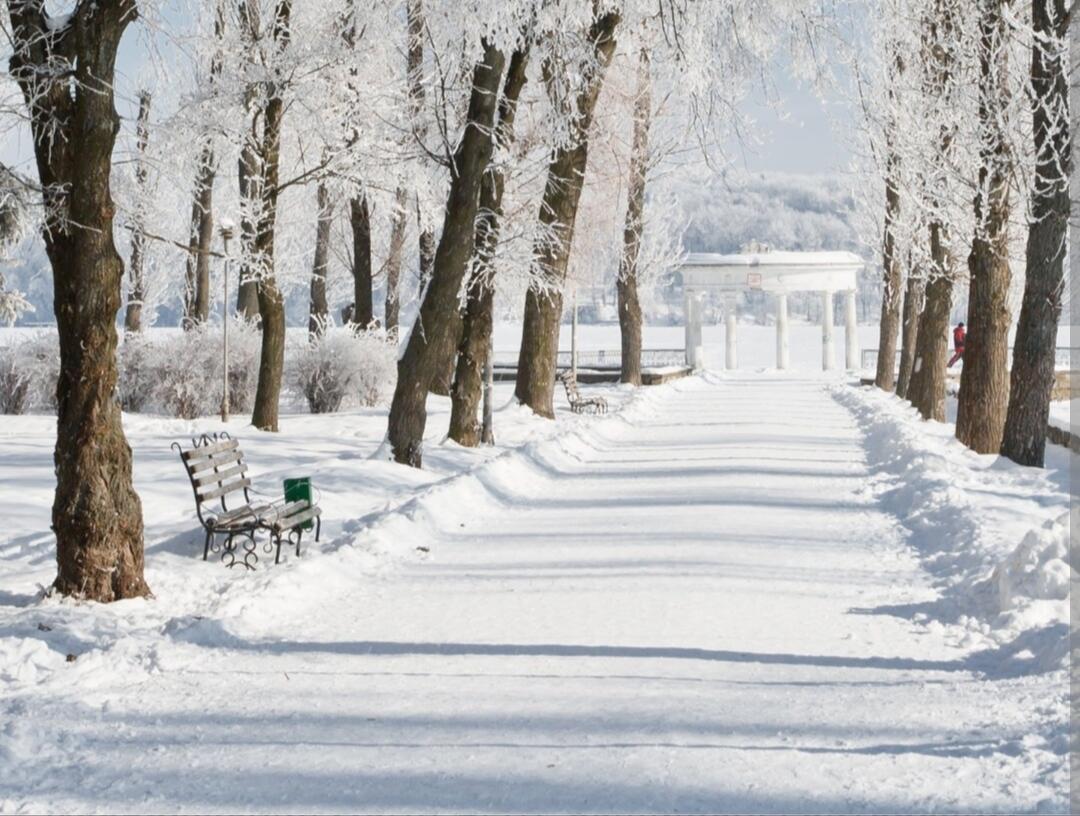Серебристый на солнце снег...