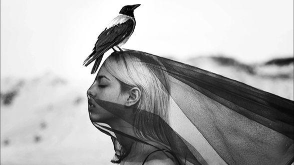 Не утонуть тебе в моих слезах