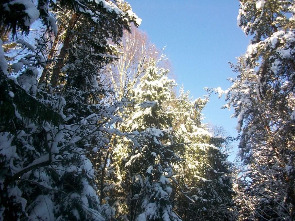 Природа живёт без разности смыслов