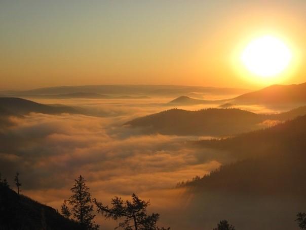 Доброе утро...!