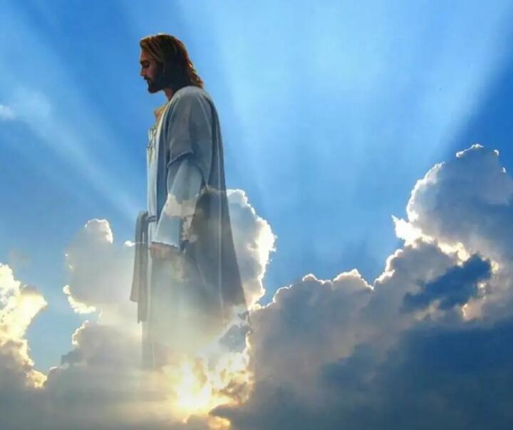 Совесть свидетель