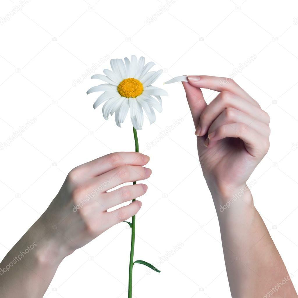Рука срывает цветок