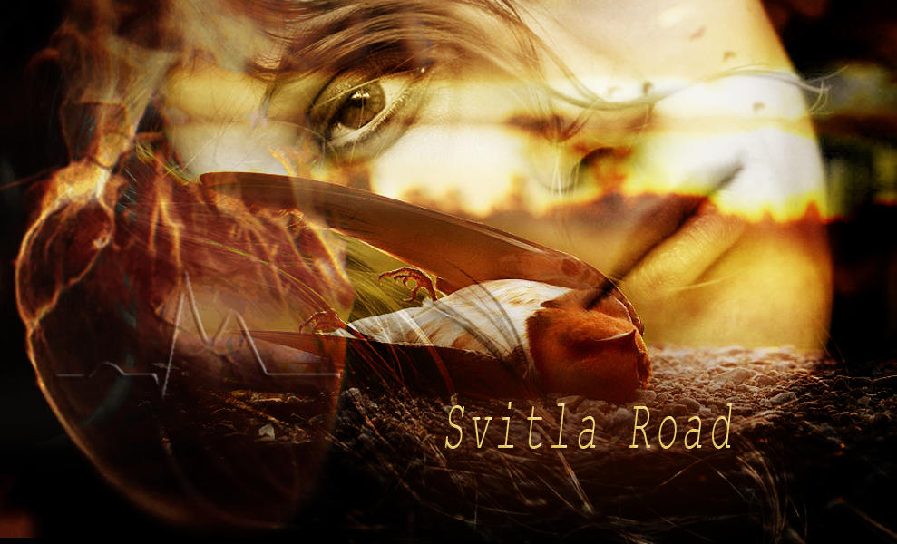 Сердечко стучало