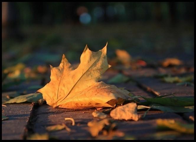 остались только даты...