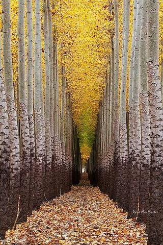 ТЕПЛО С ЛАДОНИ УБЕГАЕТ