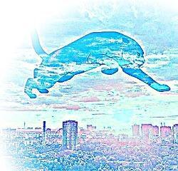 По следам голубой пантеры