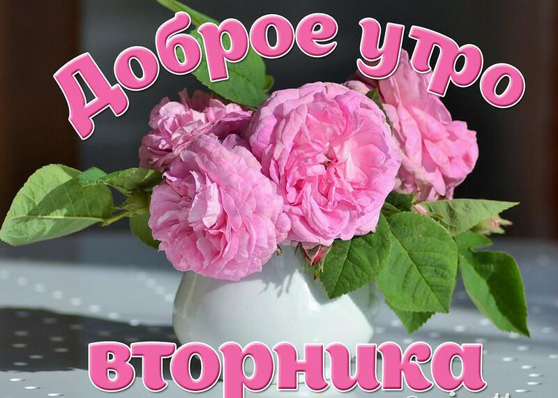 ВСТРЕТИМ ВТОРНИК ВПОПЫХАХ